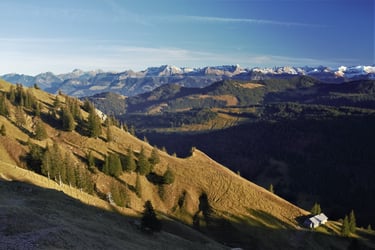 allgaeuer alpen herbst alm 
