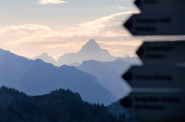 Schilder vor Allgäuer Alpen mit Hochvogel