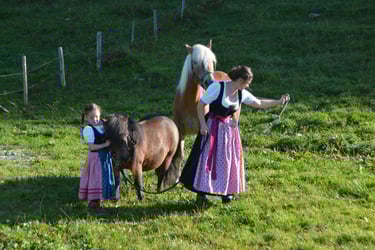 viehscheid frauen haflinger pony tracht allgaeu