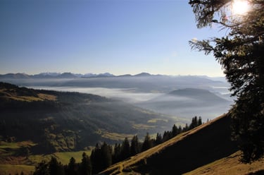 nebel gegenlicht stimmung tal Lecknertal abends Herbst