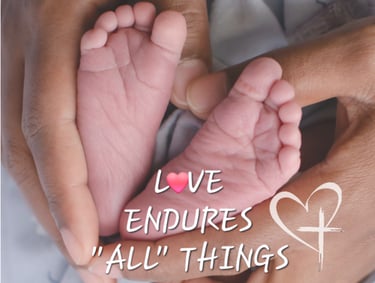 Love Endures Birth Services logo