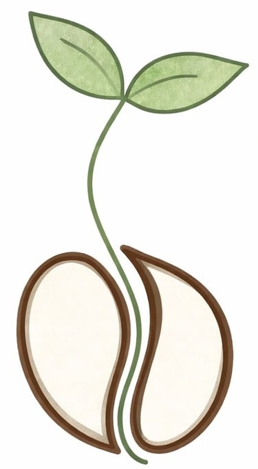 La Graine Nomade logo