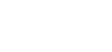 The Penguin Studio logo