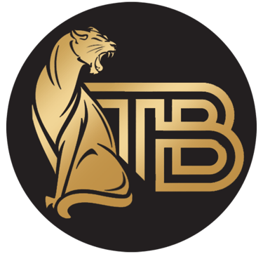 Tshims B Tours And Travels logo