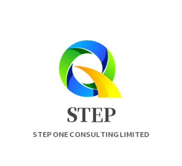 STEP ONE CONSULTING LIMITED logo