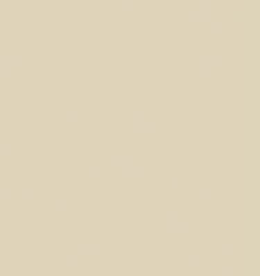 bone_solid surfaces