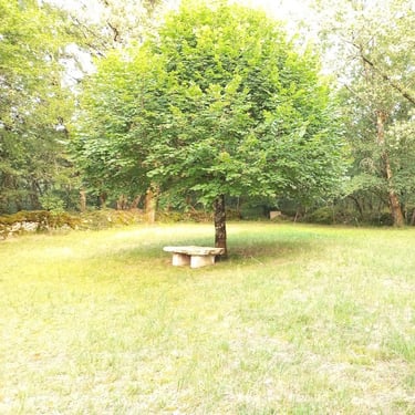 Petit coin de repos romantique avec un banc en pierre sous la canopée d'un arbre.