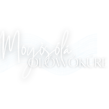 Moyosola Olowokure logo