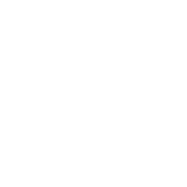 Shropshire Web Services logo