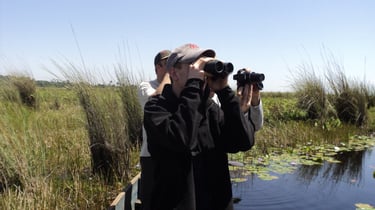 birding-mabama-swamp