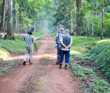 budongo_forest