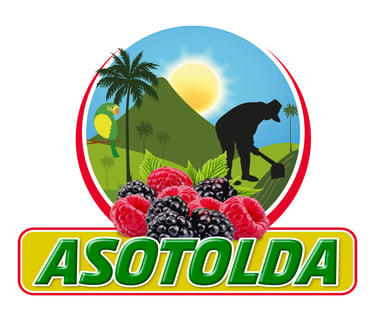 ASOCIACION DE PRODUCTORES ORGANICOS DE TOLDA VIEJA RONCESVALLES TOLIMA ASOTOLDA logo