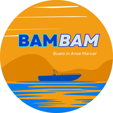 BAMBAM logo
