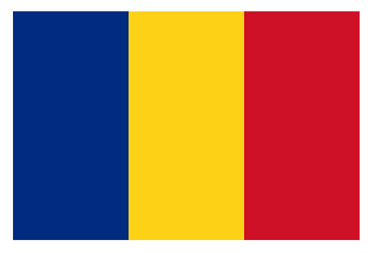 Official Romanian Grammar, Vocabulary and Culture Courses logo