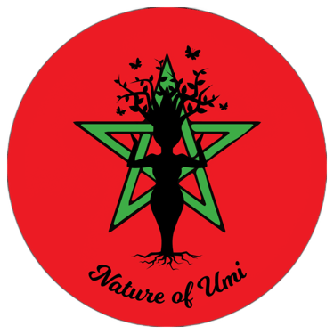 Aziz Bey Health & Beauty, LLC logo