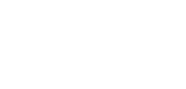 Abins Logistics logo