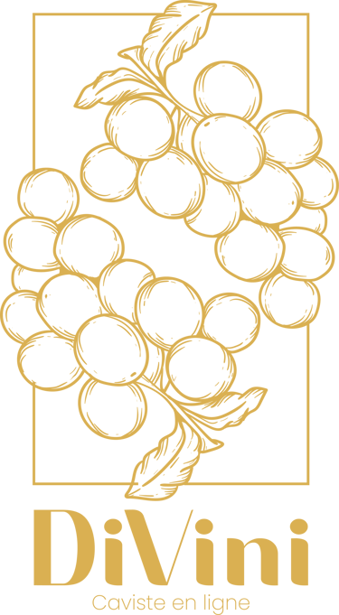 DiVini.vin logo