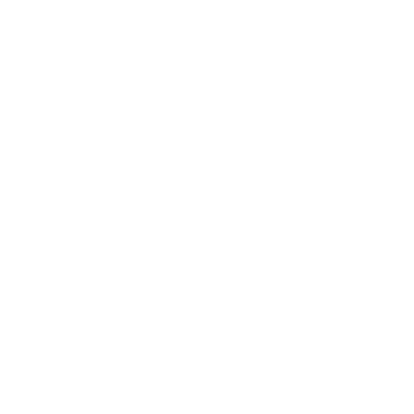 Loonie Launch logo