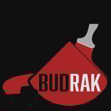 RakMik sp.z.o.o logo