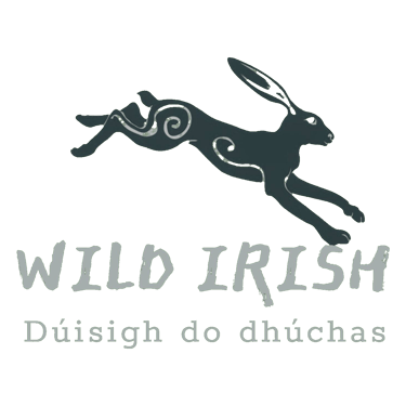 Wild Irish logo