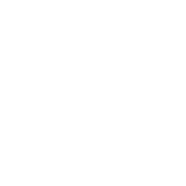 GLOBAL ANDES EXPEDITIONS logo