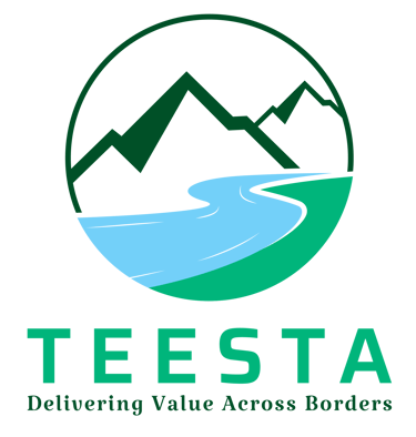 Teesta Global logo