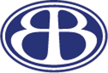 ArteVivo logo