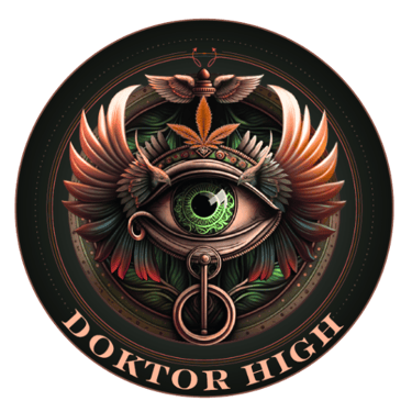 Doktor High logo