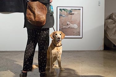 Eventfotografie Berlin - Reportage Fotograf