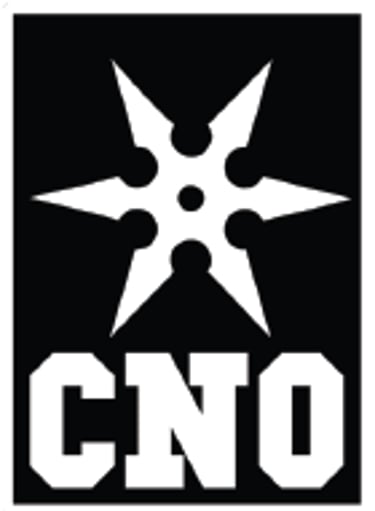CNO Kingteam logo