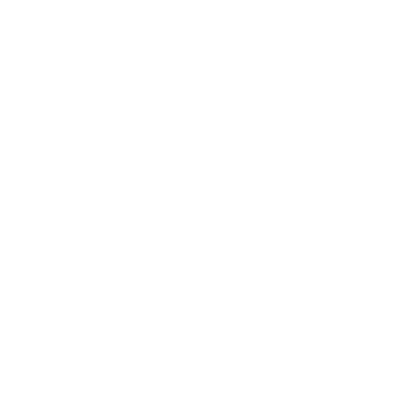 Runaway Labs logo