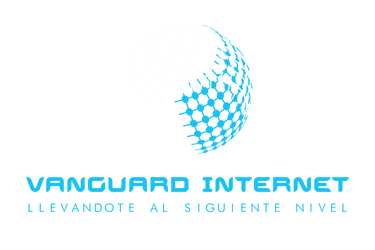 Vanguard Internet logo