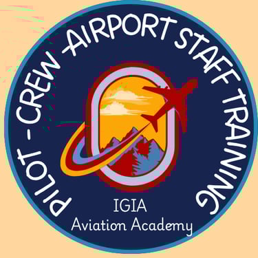 indira Gandhi Institute of Aeronautics logo