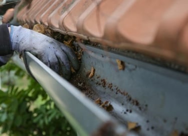 Nettoyage de gouttière à Béziers (34)