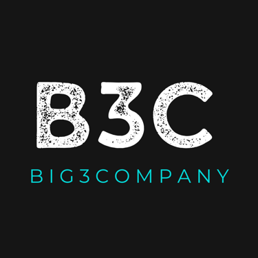 B3C - Big3Company logo