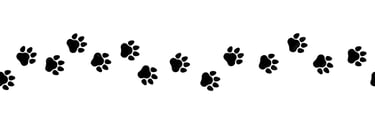Dog and Cat Paw Prints