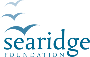 newbrunswickaddictionservices.com logo
