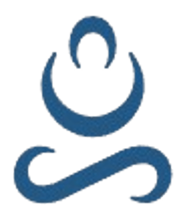 HSE.IA logo