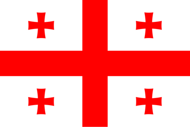 Official Georgian Grammar, Vocabulary and Culture Course logo