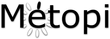 Métopi logo