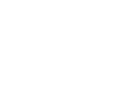 River Valley Minutemen logo