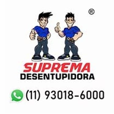 Desentupidora Praia Litoral de São Paulo logo