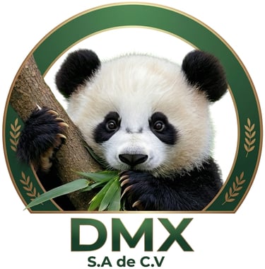 DMX Mexico logo