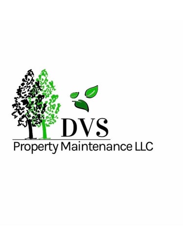 DVS Property Maintenance LLC logo