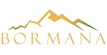 Bormana Solutions, LLC logo