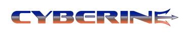CYBERINE LLC logo