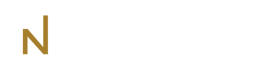 nKonnect logo