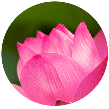 Yoga et Massages dans l'Orne logo