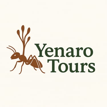 Yenarotours logo