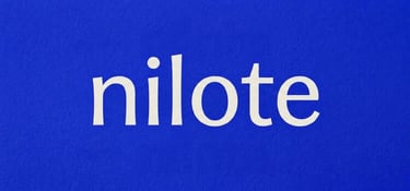 Nilote Software Services logo